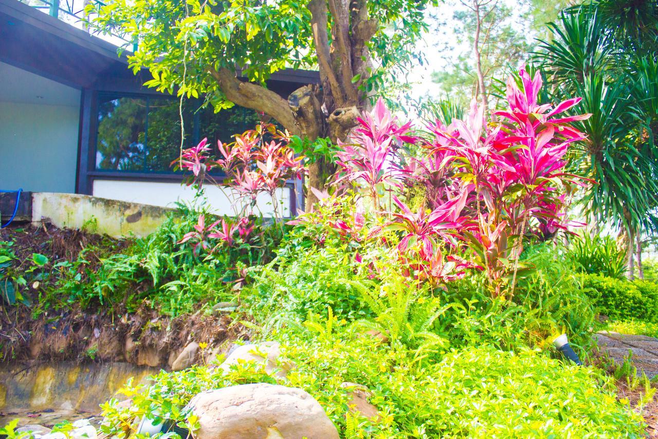 Bird Land Resort Khao Kho Exterior foto
